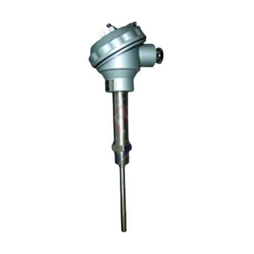 RTD SENSORS Model : WR5