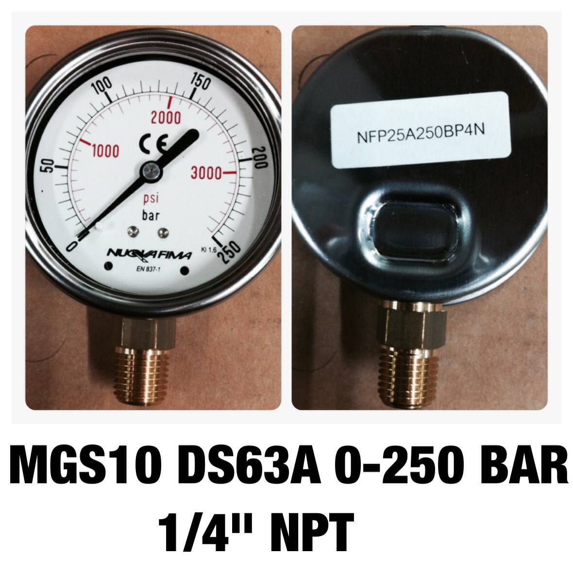NUOVA FIMA Pressure Gauges 2.5 นิ้ว 0-250 BAR (3625PSI) ออกล่าง เกลียว 1/4" NPT ทองเหลือง