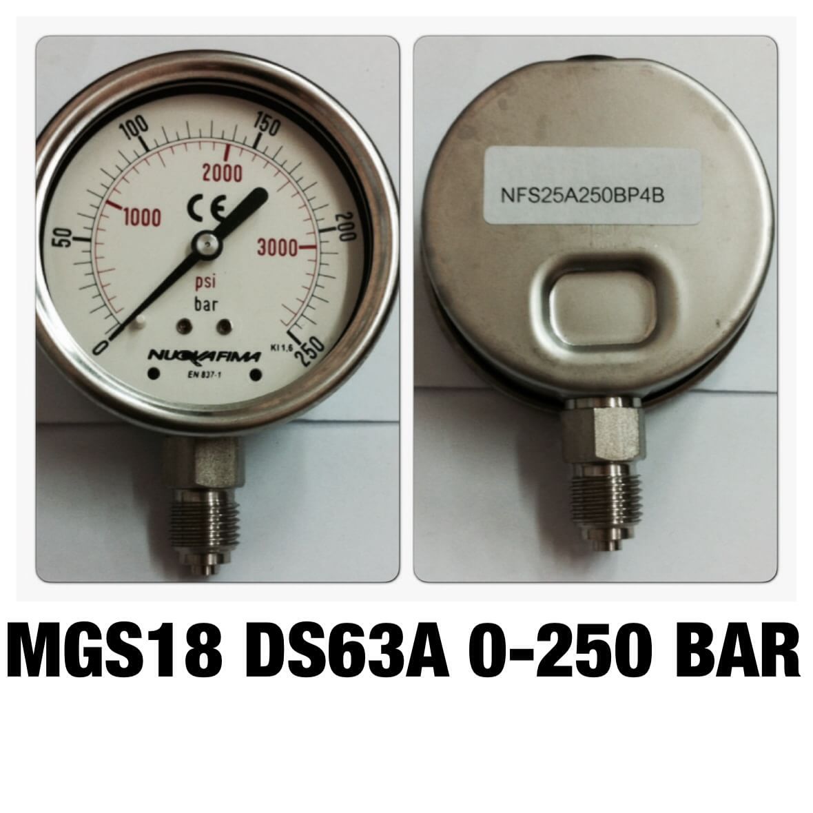 NUOVA FIMA Pressure Gauges 2.5 นิ้ว 0-250 BAR (3625PSI) ออกล่าง เกลียว 1/4" BSP สแตนเลส