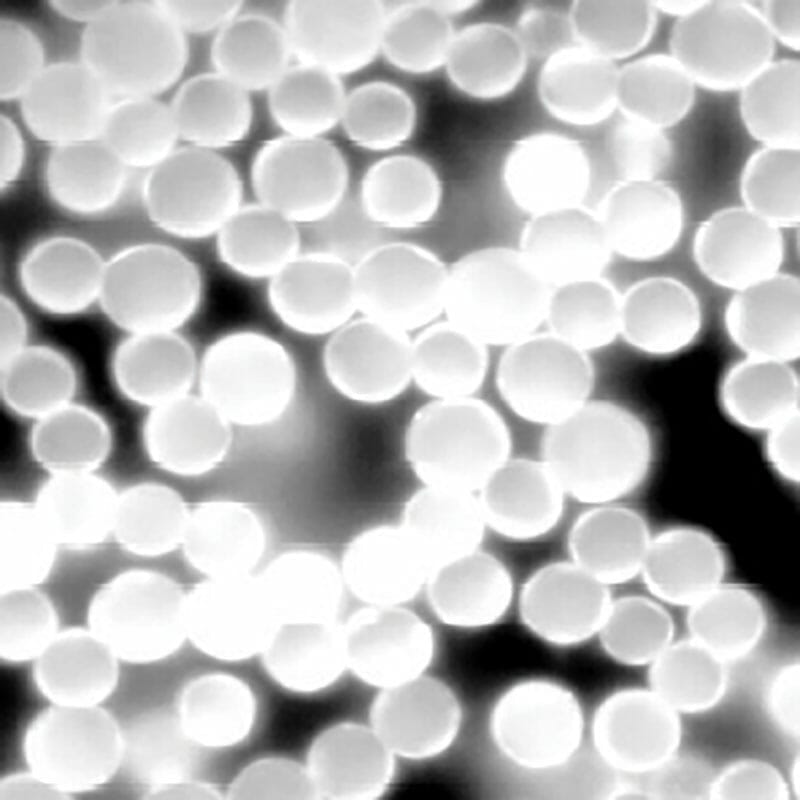 KANOMAX Fluostar Fluorescent Particles