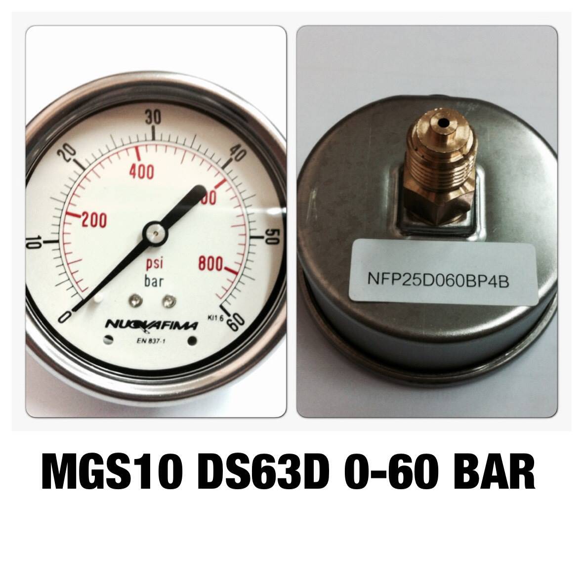 NUOVA FIMA Pressure Gauges 2.5 นิ้ว 0-60BAR (800PSI) ออกหลัง เกลียว 1/4" BSP ทองเหลือง