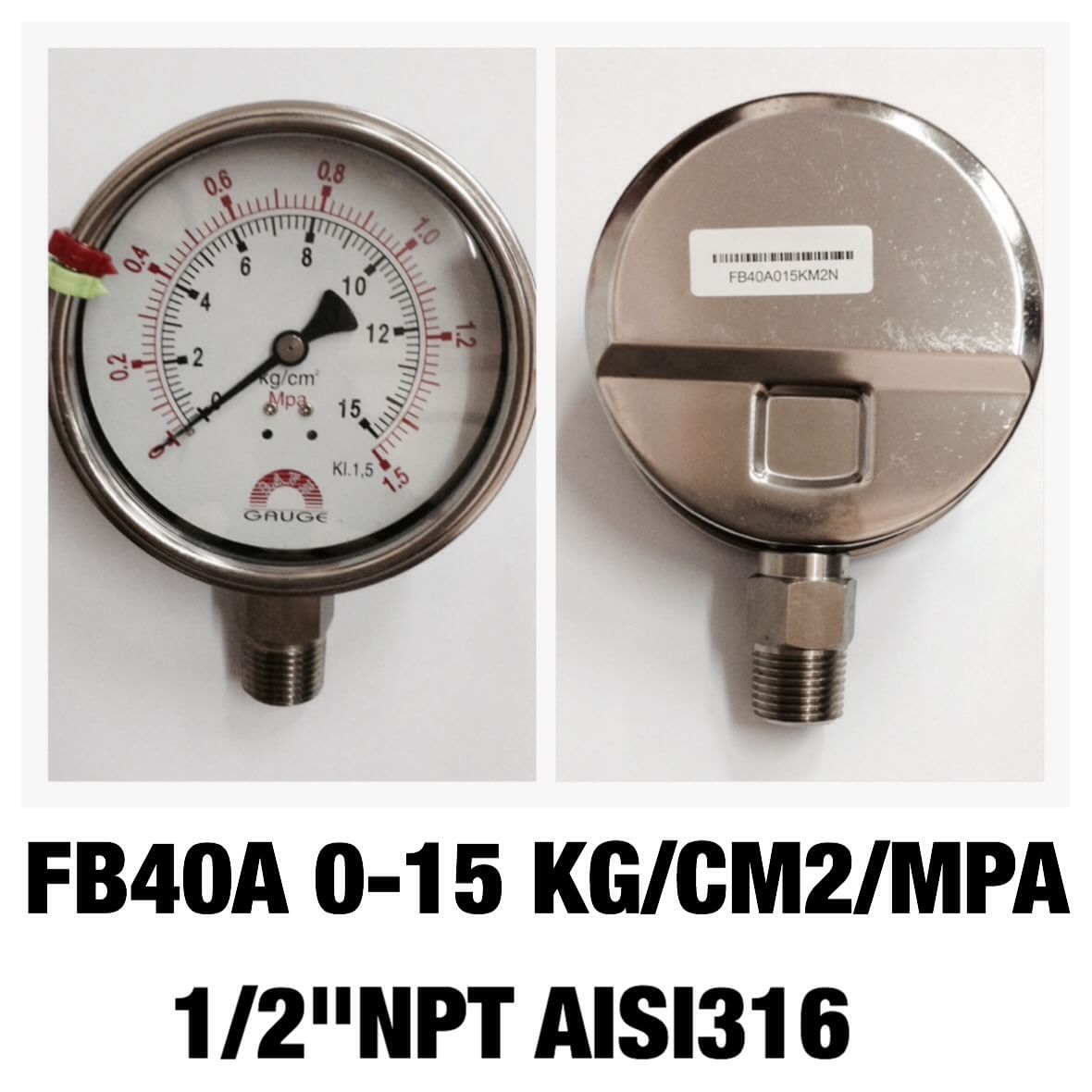 SAFE GAUGE 0-15KG 0-1.5 MPA เกลียว 1/2" NPT ANSI316
