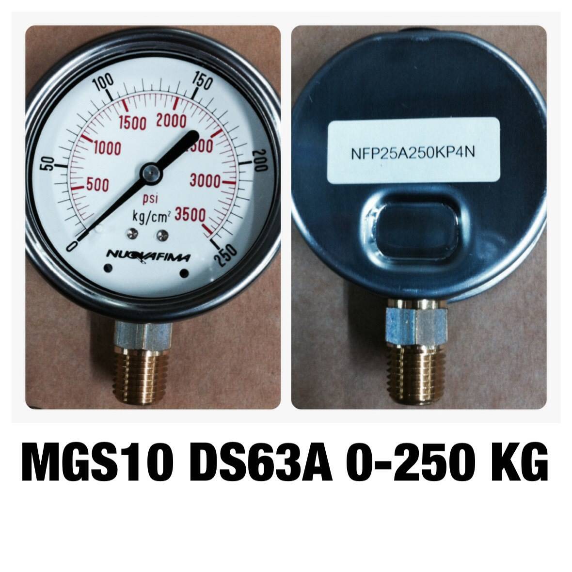 NUOVA FIMA Pressure Gauges 2.5 นิ้ว 0-250 KG (3625PSI) ออกล่าง เกลียว 1/4" NPT ทองเหลือง