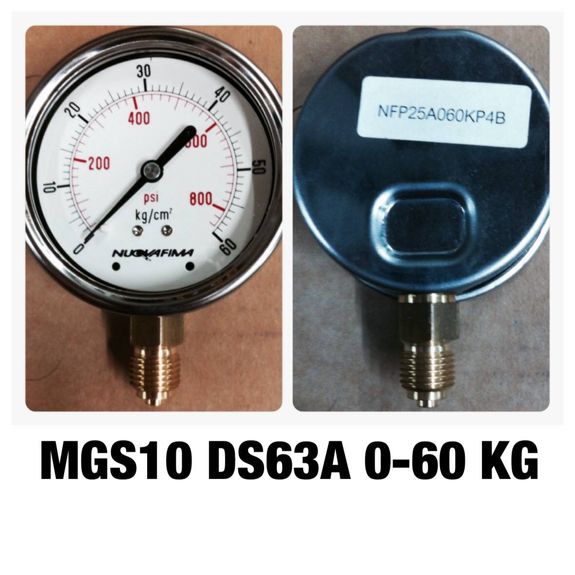 NUOVA FIMA Pressure Gauges 2.5 นิ้ว 0-60 KG (870PSI) ออกล่าง เกลียว 1/4" BSP ทองเหลือง