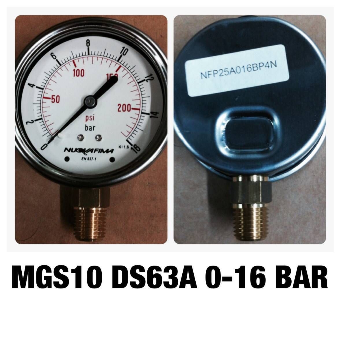 NUOVA FIMA Pressure Gauges 2.5 นิ้ว 0-16 BAR (200PSI) ออกล่าง เกลียว 1/4" NPT ทองเหลือง