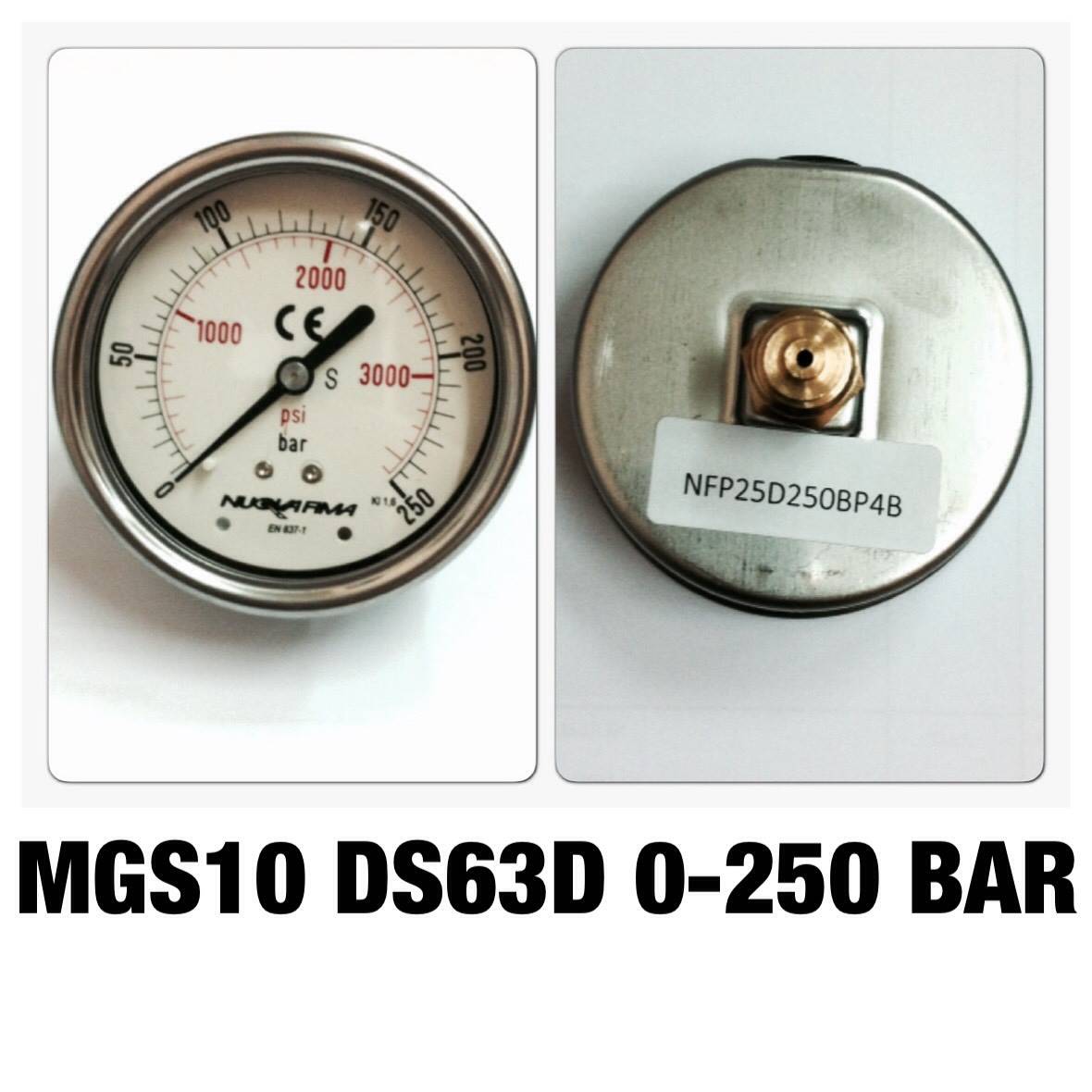 NUOVA FIMA Pressure Gauges 2.5 นิ้ว 0-250BAR (300PSI) ออกหลัง เกลียว 1/4" BSP ทองเหลือง