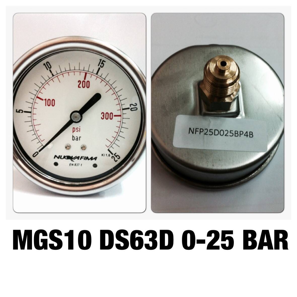 NUOVA FIMA Pressure Gauges 2.5 นิ้ว 0-25BAR (300PSI) ออกหลัง เกลียว 1/4" BSP ทองเหลือง