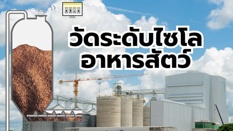 การวัดระดับในไซโลอาหารสัตว์: โซลูชันที่แม่นยำและคุ้มค่าสำหรับอุตสาหกรรมเกษตร