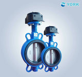 product-butterfly-valve-gear-york-5นิ้ว-2-scaled